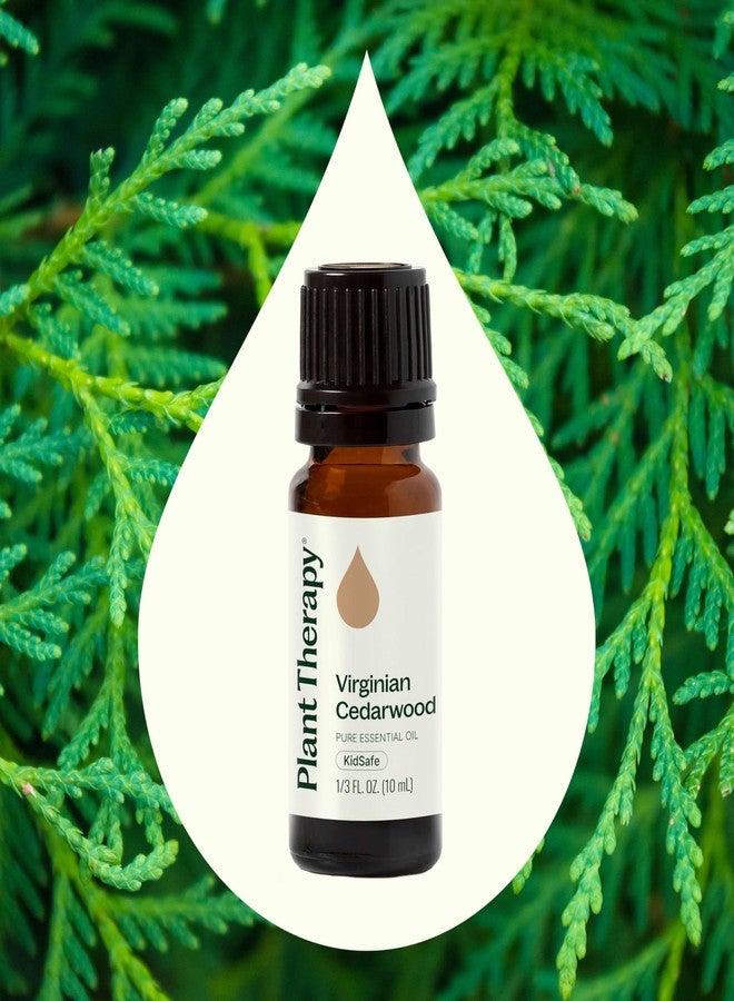 Plant Therapy Cedarwood Virginian Essential Oil 10 mL (1/3 Oz) 100% Pure, Undiluted, Therapeutic Grade - Image 3